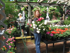 Susan Piscitelli  - Party Host Helpers 